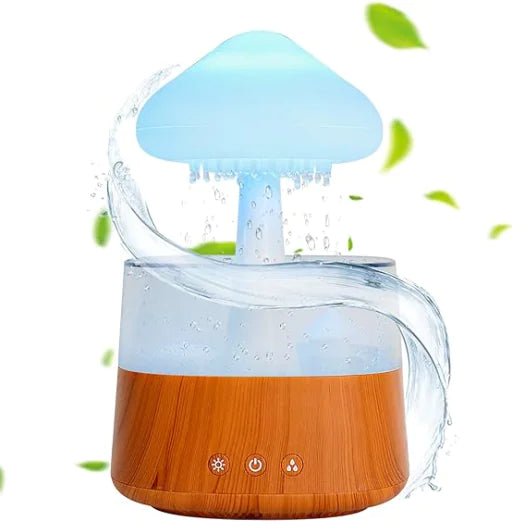 Rain Cloud Humidifier